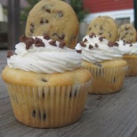 chocolate chip cupcake