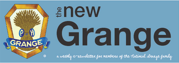 weekly newsletter banner