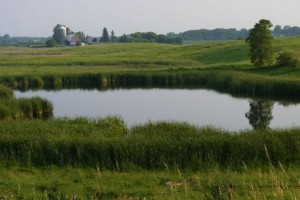 eparegulation