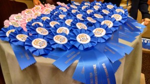 IMG_20141112_174155014_HDR